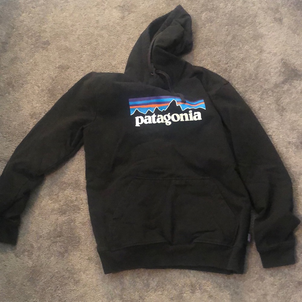 Patagonia Hoodie